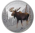 Монета 20 долларов 2015 года Канада «Величественный лось» (Артикул K1-2606)