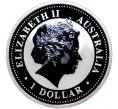 Монета 1 доллар 2007 года Австралия «Год кабана» (Цветное покрытие) (Артикул M2-51170)