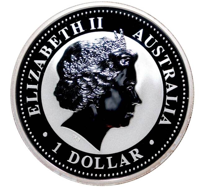 Монета 1 доллар 2007 года Австралия «Год кабана» (Цветное покрытие) (Артикул M2-51170)