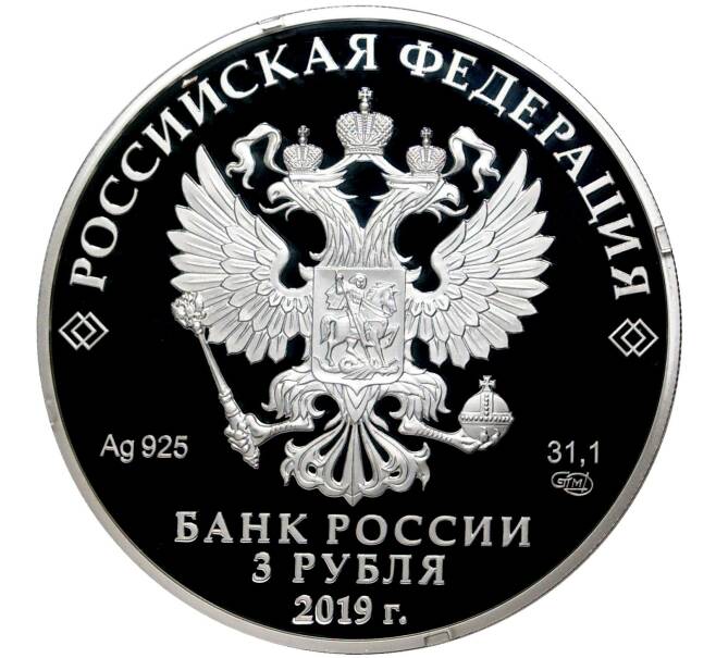 Монета 3 рубля 2019 года СПМД «Саммит Россия — Африка» (Артикул M1-40568)