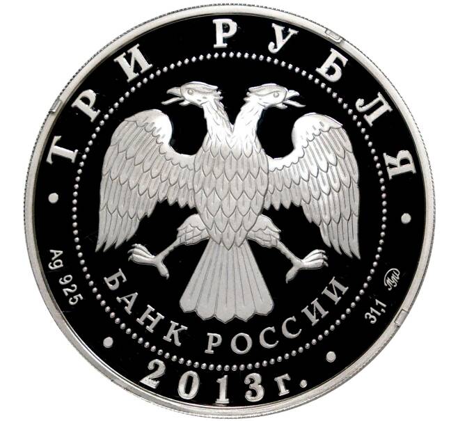 Монета 3 рубля 2013 года ММД «Экспедиции Г.И. Невельского 1848-1855» (Артикул M1-40596)