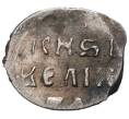 Монета Денга Иван IV «Грозный» (Артикул M1-41209)