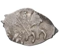 Монета Копейка Иван IV «Грозный» (Новгород) (Артикул M1-41264)