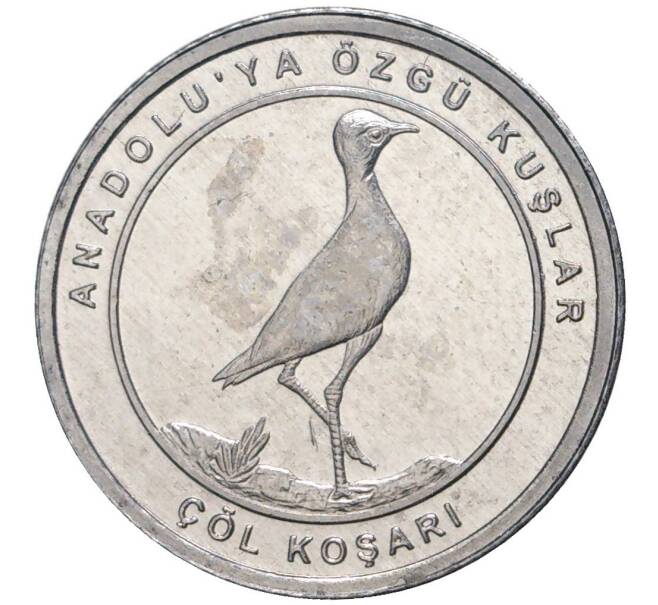 Монета 1 куруш 2020 года Турция «Птицы Анатолии — Бегунок» (Артикул K27-4789)