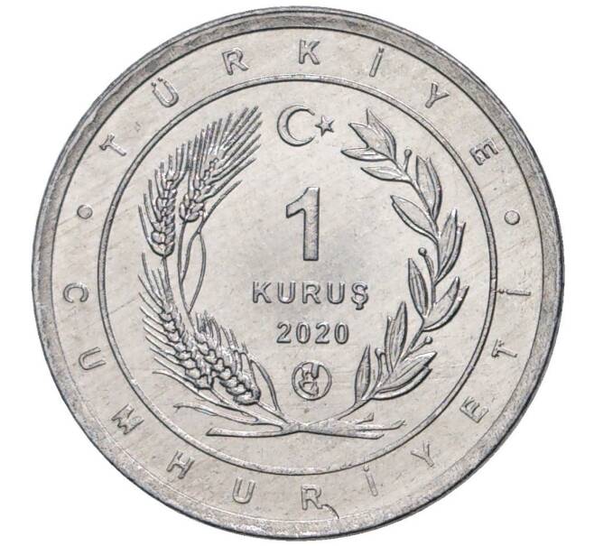 Монета 1 куруш 2020 года Турция «Птицы Анатолии — Африканская змеешейка» (Артикул K27-4790)