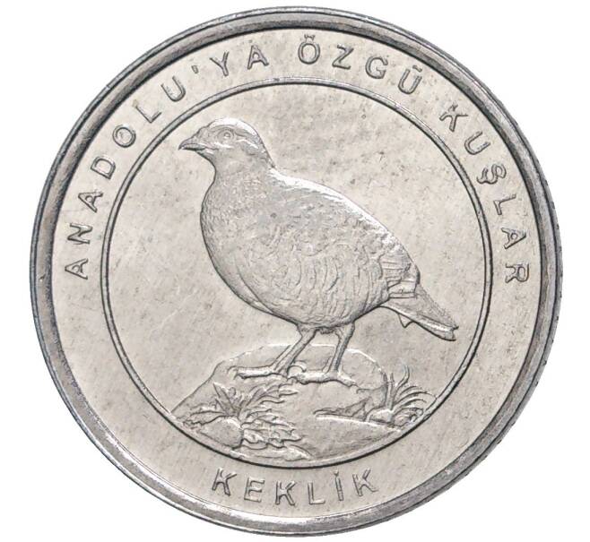 Монета 1 куруш 2020 года Турция «Птицы Анатолии — Азиатский кеклик» (Артикул K27-4795)