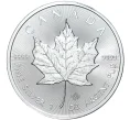 Монета 5 долларов 2019 года Канада «Кленовый лист» (Артикул K11-0271)