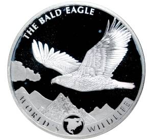 20 франков 2021 года Конго (ДРК) «Белоголовый орлан»