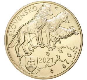 5 евро 2021 года Словакия «Волк»