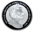 Монета 1 доллар 2021 года Британские Виргинские острова «Американский фламинго» (Артикул M2-52334)