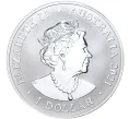 Монета 1 доллар 2021 года Австралия «Величество пустоши — Австралийский кенгуру» (Артикул M2-52335)