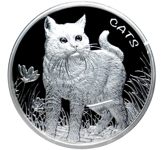 Монета 50 центов 2021 года Фиджи «Кошки» (Артикул M2-52611)