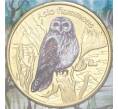 1 доллар 2021 года Остров Сан-Феликс «Болотная сова» (Unusual) (Артикул: M2-52648)