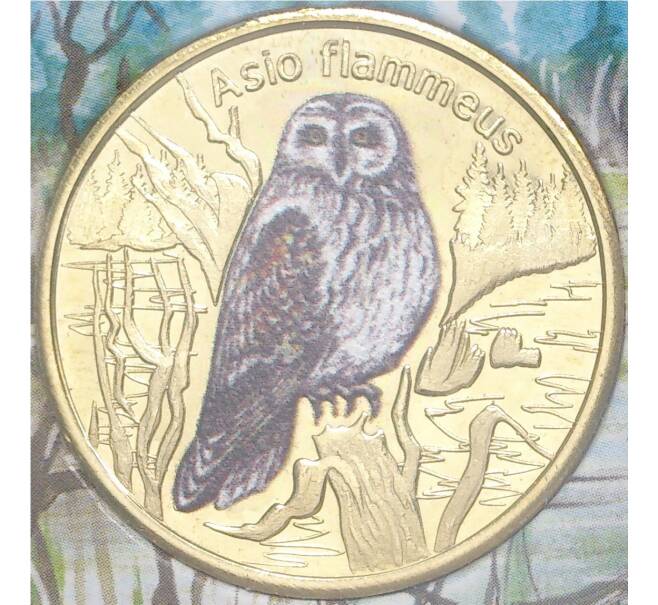 1 доллар 2021 года Остров Сан-Феликс «Болотная сова» (Unusual) (Артикул: M2-52648)