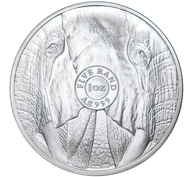 Монета 5 рэндов 2021 года ЮАР «Большая Пятерка — Слон» (Артикул M2-52737)