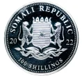 Монета 100 шиллингов 2022 года Сомали «Африканская дикая природа — Африканский слон» (Артикул M2-52830)
