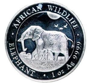 100 шиллингов 2022 года Сомали «Африканская дикая природа — Африканский слон»