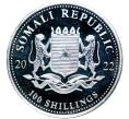 Монета 100 шиллингов 2022 года Сомали «Африканская дикая природа — Африканский слон» (Артикул M2-52831)