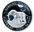 Монета 100 шиллингов 2022 года Сомали «Африканская дикая природа — Африканский слон» (Артикул M2-52832)