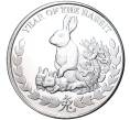 Монета 1000 шиллингов 2011 года Сомалиленд «Китайский гороскоп — Год кролика» (Артикул M2-52840)