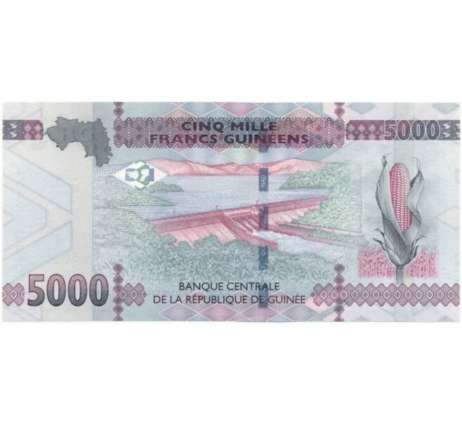 Банкнота 5000 франков 2015 года Гвинея (Артикул: B2-7851) — Фото №2