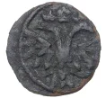 Монета Полушка «ВРП» 1719 года (Год цифрами) (Артикул K11-0779)