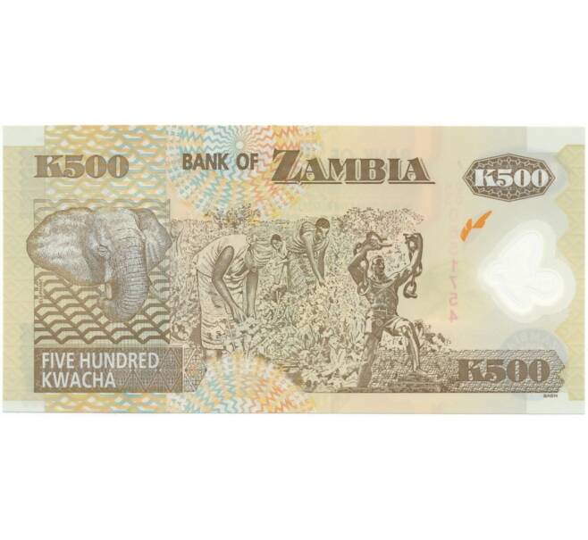 Банкнота 500 квач 2008 года Замбия (Артикул: B2-7901) — Фото №2