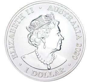 1 доллар 2020 года Австралия «Красноспинный паук»