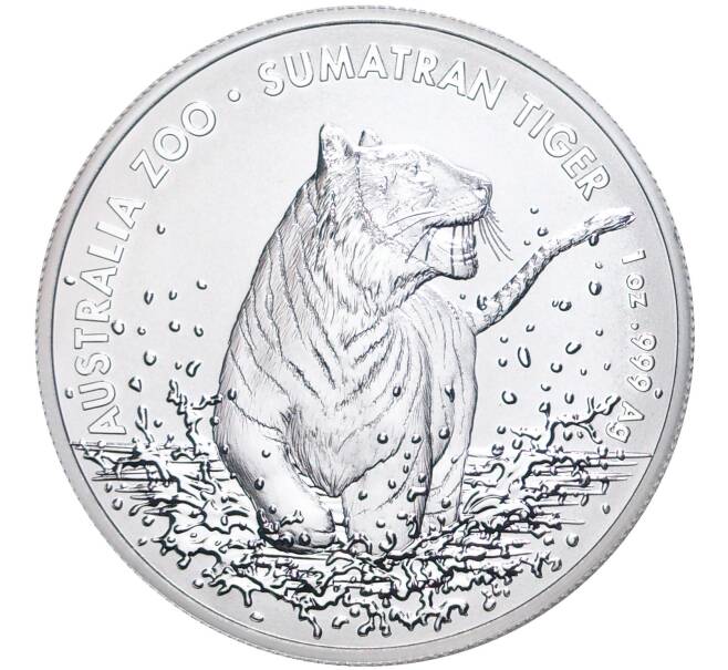 Монета 1 доллар 2020 года Австралия «Австралийский зоопарк — Суматранский тигр» (Артикул M2-53767)