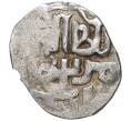 Монета Данг (Дирхем) Золотая Орда (Артикул M2-53773)