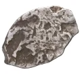 Монета Копейка Петр I Старый денежный двор (Москва) (Артикул M1-42692)