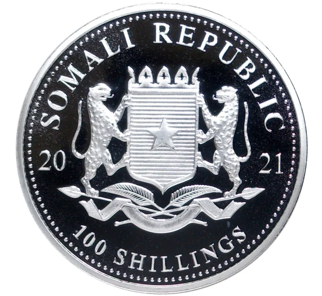 Монета 100 шиллингов 2021 года Сомали «Африканская дикая природа — Леопард» (Артикул M2-52067)
