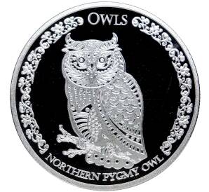 5 долларов 2021 года Токелау «Совы — Калифорнийский воробьиный сыч-гном» — Фото №1