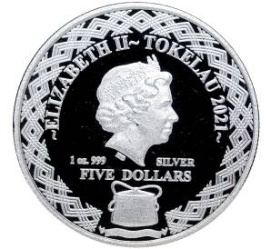 5 долларов 2021 года Токелау «Совы — Калифорнийский воробьиный сыч-гном» — Фото №2