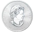 Монета 10 долларов 2021 года Канада «Оборотень» (Артикул M2-54158)