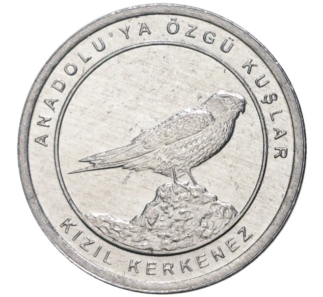 Монета 1 куруш 2020 года Турция «Птицы Анатолии — Пустельга» (Артикул K27-6623)