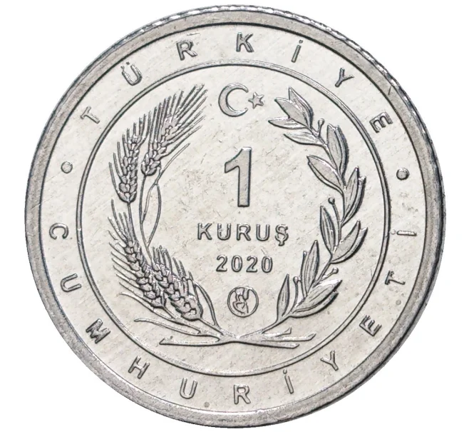 Монета 1 куруш 2020 года Турция «Птицы Анатолии — Пустельга» (Артикул K27-6623)