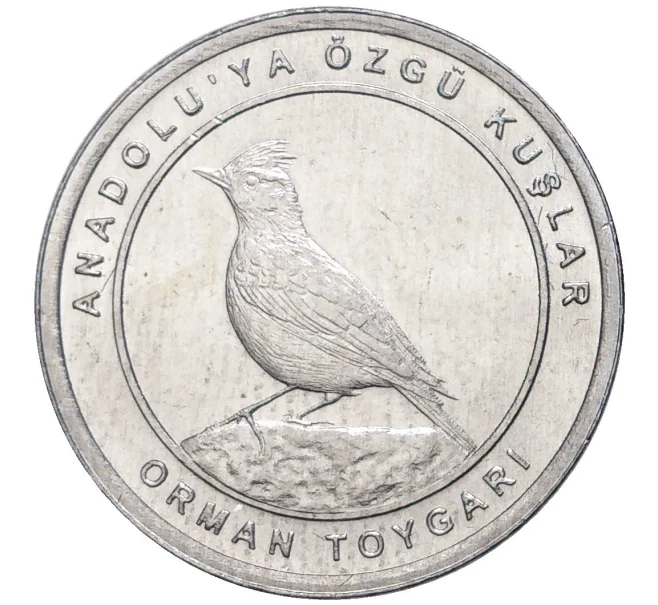 Монета 1 куруш 2020 года Турция «Птицы Анатолии — Лесной жаворонок» (Артикул K27-6624)
