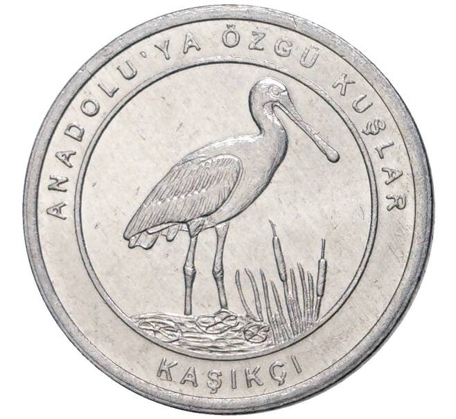 Монета 1 куруш 2020 года Турция «Птицы Анатолии — Колпица» (Артикул K27-6625)