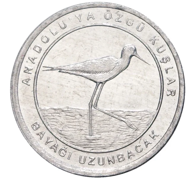 Монета 1 куруш 2020 года Турция «Птицы Анатолии — Ходулочник» (Артикул K27-6627)