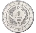Монета 1 куруш 2020 года Турция «Птицы Анатолии — Авдотка» (Артикул K27-6628)