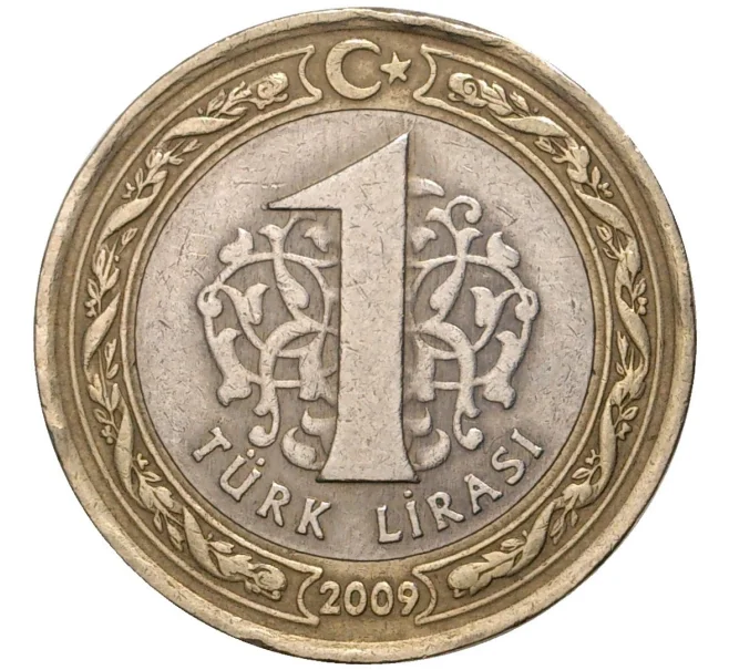 Монета 1 лира 2009 года Турция (Артикул K11-2294)