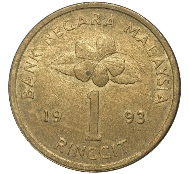 Монета 1 ринггит 1993 года Малайзия (Артикул M2-54273)