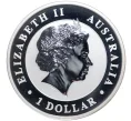 Монета 1 доллар 2013 года Австралия «Австралийская коала» (Артикул M2-54313)