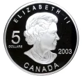 Монета 5 долларов 2003 года Канада «Чемпионат мира по футболу 2006 в Германии» (Артикул M2-54340)