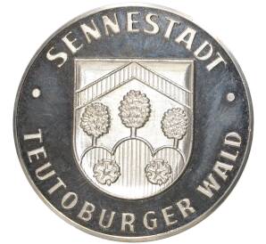Медаль Германия «Зеннештадт»