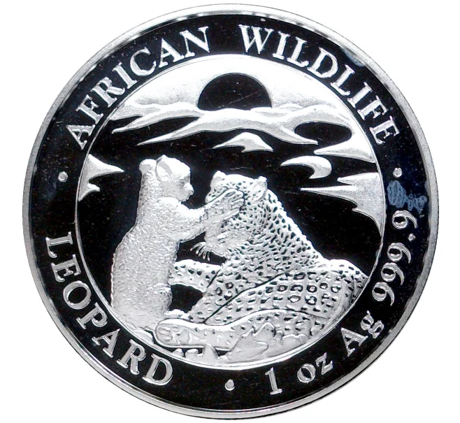 Монета 100 шиллингов 2019 года Сомали «Фауна Африки — Леопард с детенышем» (Артикул M2-54366)