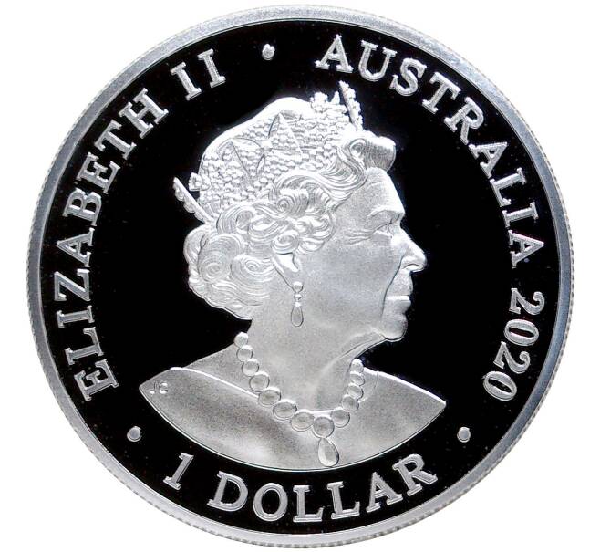 Монета 1 доллар 2020 года Австралия «Длиннорылый продельфин» (Артикул M2-54368)