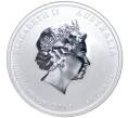 Монета 50 центов 2013 года Австралия «Китайский гороскоп — Год змеи» (Артикул K11-2630)