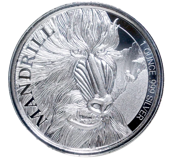Монета 500 франков 2020 года Камерун «Мандрил» (Артикул M2-54769)